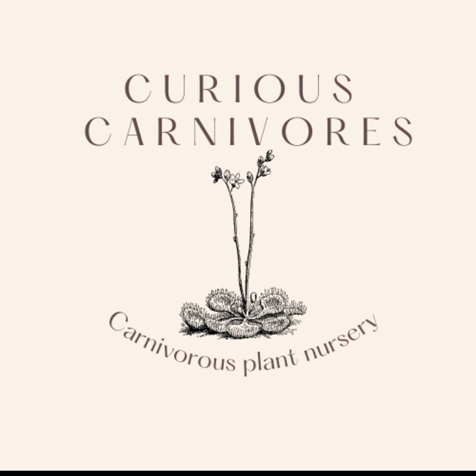 319210624_453292660332556_1152489513162569502_n